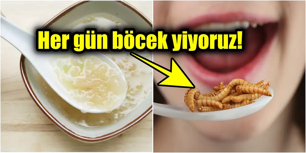 Gündelik Hayatımızın Ayrılmaz Parçası Olan Yiyecekler Hakkında Ufkunuzu Genişletecek Çok İlginç 12 Bilgi