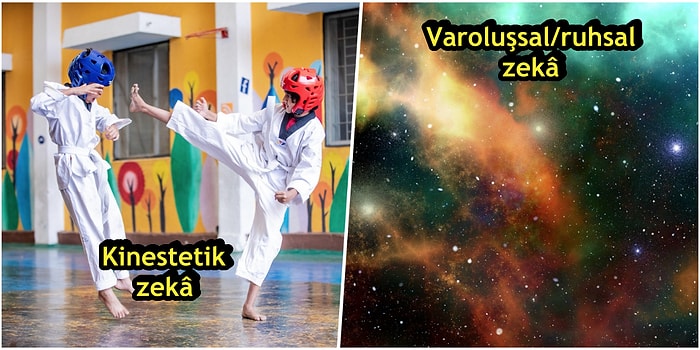 Çocuğunu Yakından Tanımak İsteyen Ebeveynler Buraya: Bu Zekâ Türlerini Öğrenince Evinizin Pedagogu Olacaksınız