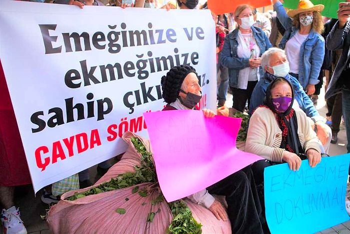 Çay Üreticilerinin Eylemini Rize Valiliği Yasakladı: 'Milli Güvenliği Bozabilir'