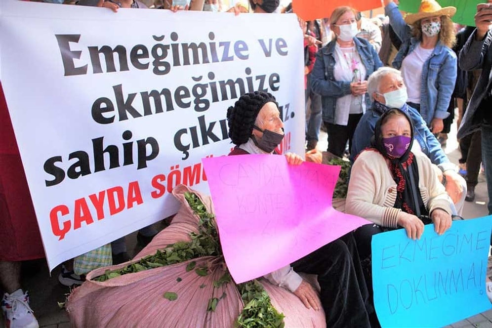 Çay Üreticilerinin Eylemini Rize Valiliği Yasakladı: 'Milli Güvenliği Bozabilir'