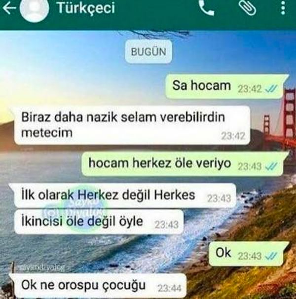 Uzun uzun mesaj yazan birine "ok" diye cevap vermek de yeni dönemin kabalıklarından bir tanesi. Ha iletişimi kesmek istediğiniz biriyse bu şekilde tepki veriyor olabilirsiniz, o başka. Ama bu insanla görüşmeye devam edeceksiniz eğer bu baya bir hıyarlık.