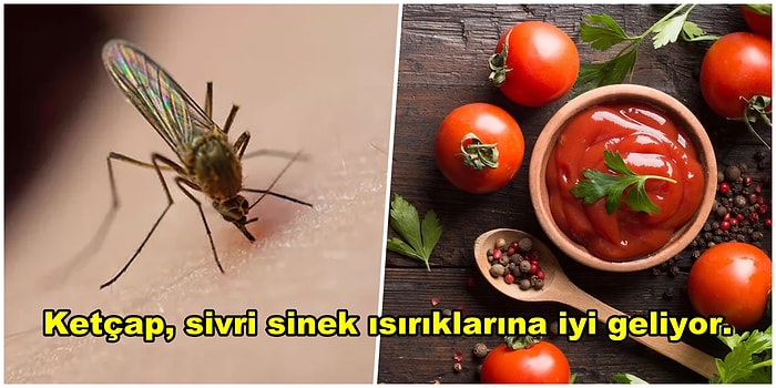 Gündelik Sorunlarınızı Evinizde Bulunan Malzemelerle Kolaylıkla Çözmenizi Sağlayacak Pratik Çözümler