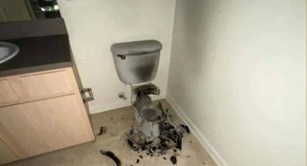 Hayatta Her Şey Mümkün: Klozete Yıldırım Düştü