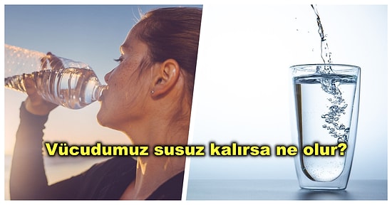 Günde Ne Kadar Su İçmeliyiz? Yeterince Su Tüketmediğimizi Gösteren Vücudumuzdaki Tüm Belirtiler