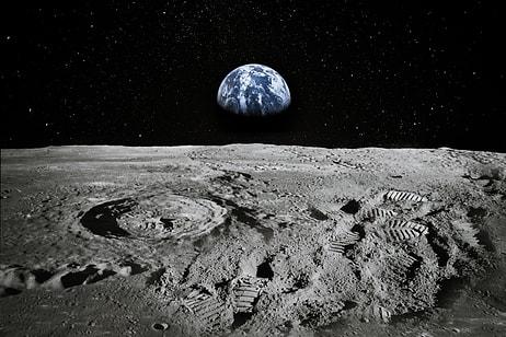 Uzayda Yaşam İçin İlk Adım: Ay Toprağında Bitki Yetiştirildi