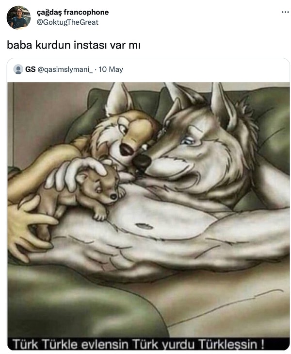 9. Kurt bakışlımdaki kurt