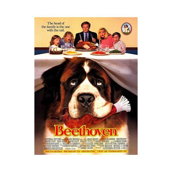 12. Beethoven / Afacan Köpek Beethoven (1992) - IMDb: 5.7