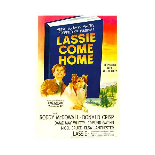 7. Lassie Come Home / Lassie Eve Dönüş (1943) - IMDb: 7.1