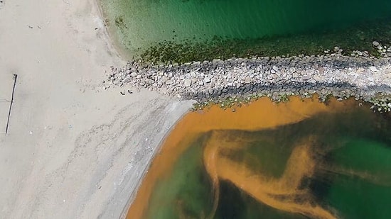 Karadeniz'de Korkutan Renk Değişimi: 'İlk Defa Böyle Bir Şey Gördük'