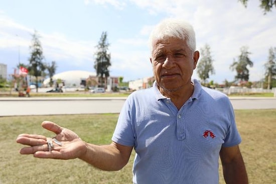 Otellerden Dereye Akıtılan Havuz Kimyasalı Nedeniyle Yavru Balıklar Öldü