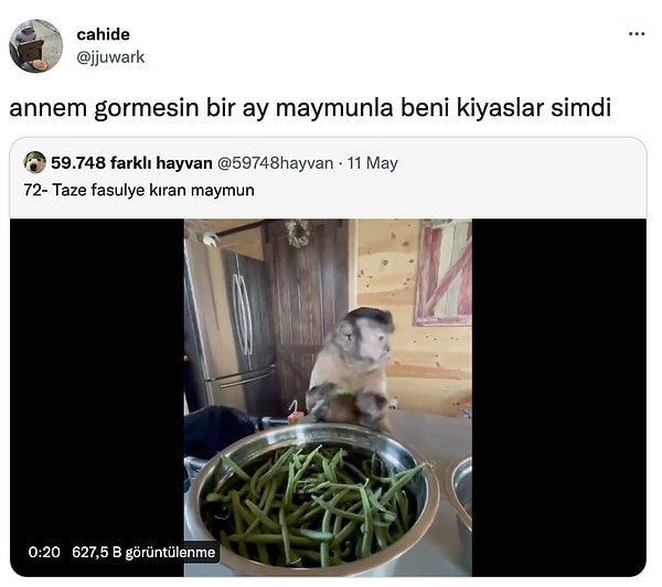 Hem de nasıl. 😂