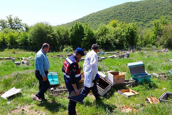"Yaklaşık 4 milyon arı telef edildi, ana arılar çalındı"