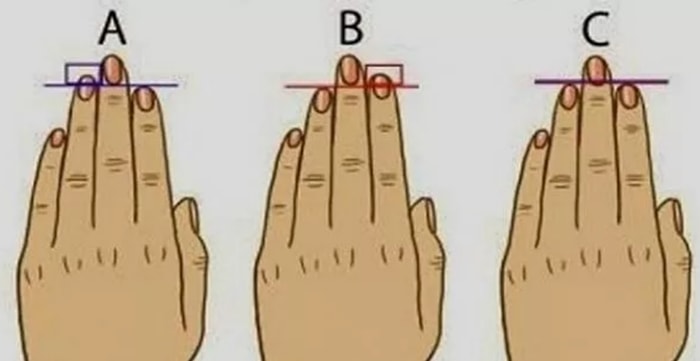 Parmak Uzunluğun Karakterin Hakkında Neler Söylüyor?