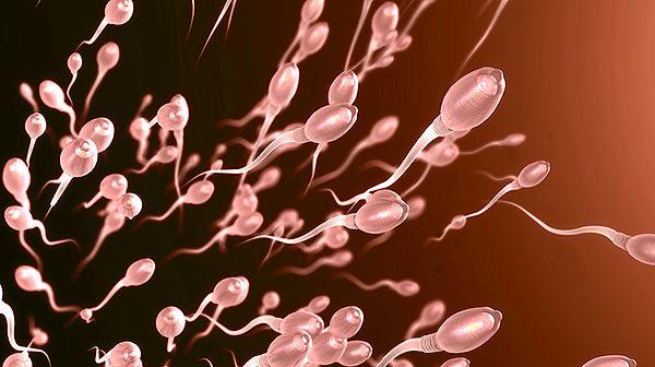 2017 yılında yapılan çalışmaya göre, 1973'ten 2011 yılına kadar erkeklerin sperm sayıları yüzde 59 oranında azaldı.
