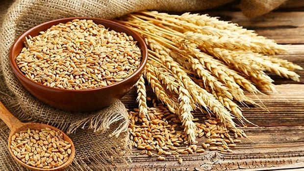 Savaş, Sıcak Derken Hindistan Ekmek Vermez Oldu: Buğday İhracatını Durdurunca Fiyatlar Fırladı