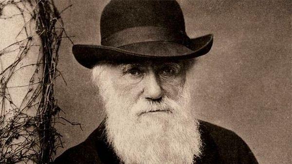 38. "Günün sonunda hayatta kalan, türlerin en güçlüsü ya da en zekisi değil, değişime en duyarlı olanıdır." -Charles Darwin