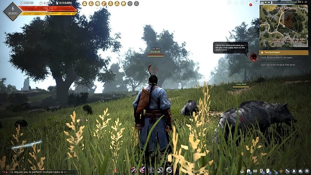 5. Black Desert Online