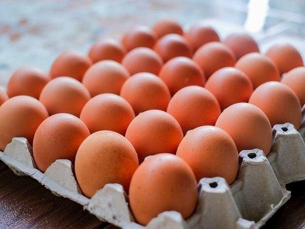 Yum-Bir’in 16 Mayıs tarihli fiyat bülteninde KDV’siz fiyatlar yer alıyor. Marketlerde ise bugün büyük boy yumurtanın adet fiyatı 1,5 lirayı geçti.