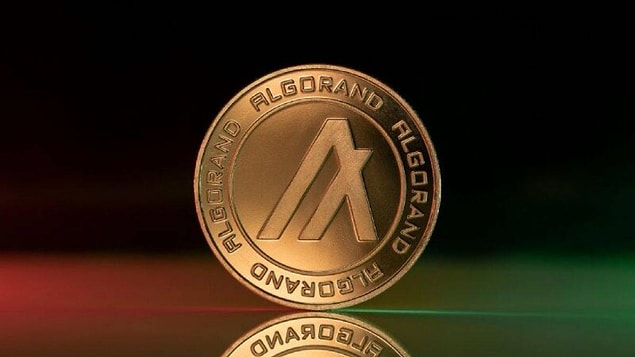 Analist Coin Bureau Algorand (ALGO) yükseliş beklentilerini ayrıntılarıyla ele aldı.