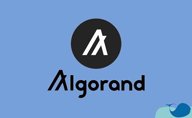 Algorand perakende kullanıcılar yerine kurumsal yatırımcıya odaklanan bir proje.