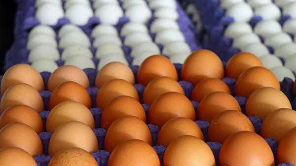 Yumurta Üreticileri Merkez Birliği tarafından yayınlanan fiyat listesine göre KDV hariç büyük boy yumurtada yüzde 10, orta boyda yüzde 12,5 artış gerçekleşti.