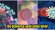 Dünyanın Büyük Çoğunluğunu Oluşturan Okyanuslarda Ebola ve Koronavirüs Gibi Binlerce Virüs Tespit Edildi!