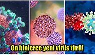Dünyanın Büyük Çoğunluğunu Oluşturan Okyanuslarda Ebola ve Koronavirüs Gibi Binlerce Virüs Tespit Edildi!