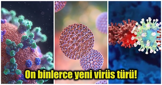 Dünyanın Büyük Çoğunluğunu Oluşturan Okyanuslarda Ebola ve Koronavirüs Gibi Binlerce Virüs Tespit Edildi!