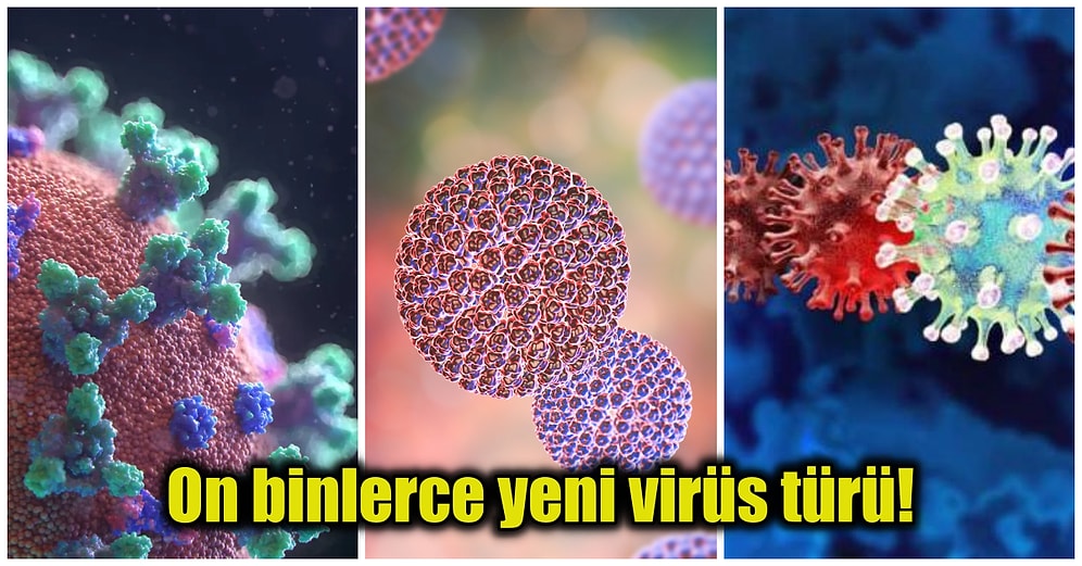 Dünyanın Büyük Çoğunluğunu Oluşturan Okyanuslarda Ebola ve Koronavirüs Gibi Binlerce Virüs Tespit Edildi!