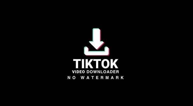3. Video Downloader for TikTok - No Watermark
