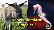 Futbol Takımlarının İlginç Hayvan Simgelerinden Kaç Tanesini Doğru Tahmin Edebileceksin?