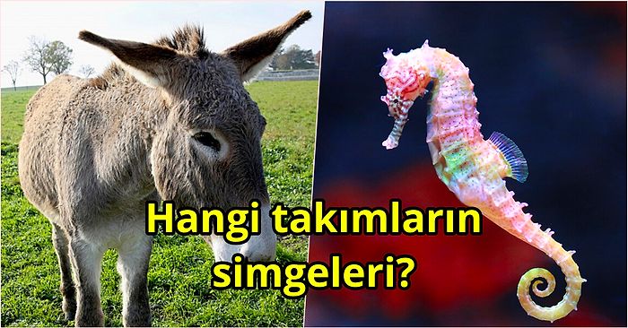 Futbol Takımlarının İlginç Hayvan Simgelerinden Kaç Tanesini Doğru Tahmin Edebileceksin?