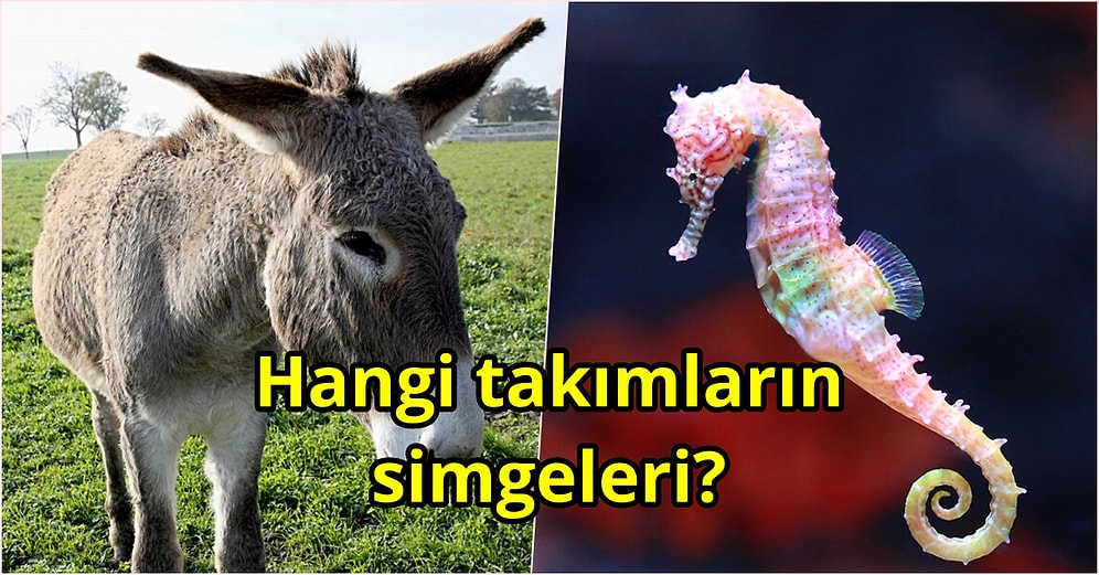 Futbol Takımlarının İlginç Hayvan Simgelerinden Kaç Tanesini Doğru Tahmin Edebileceksin?