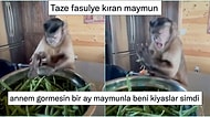 Her Ne Yapıyorsanız Bırakıp Bir An Önce Okumanız Gereken Haftanın En Komik 25 Tweeti