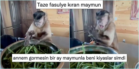 Her Ne Yapıyorsanız Bırakıp Bir An Önce Okumanız Gereken Haftanın En Komik 25 Tweeti