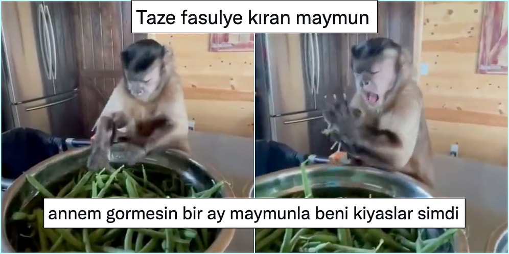 Her Ne Yapıyorsanız Bırakıp Bir An Önce Okumanız Gereken Haftanın En Komik 25 Tweeti