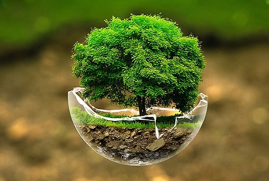 Çevre Haftası Ne Zaman? 2022 Türkiye Çevre Haftası Ne Zaman?