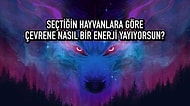 Seçtiğin Hayvanlara Göre Çevrene Nasıl Bir Enerji Yayıyorsun?