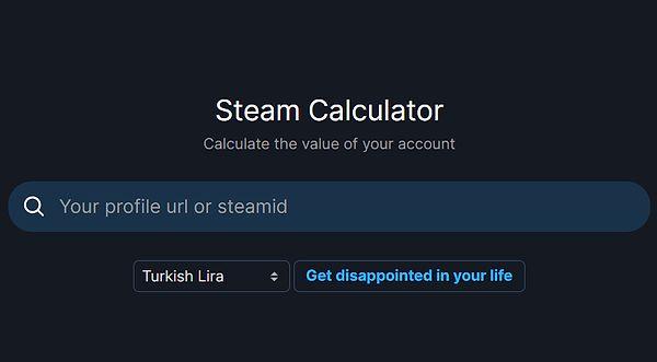 İlk adım elbette Steam Database üzerinden Steam Calculator'a ulaşmak.