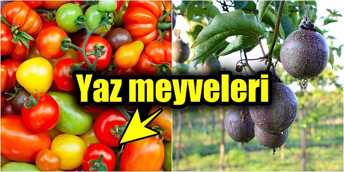 Yaz Meyveleriyle Sağlıklı Kalın! Çok Besleyici ve Bol Vitaminli Yaz Meyveleri Nelerdir?