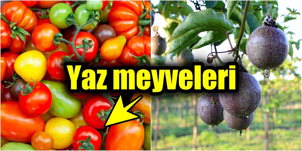 Yaz Meyveleriyle Sağlıklı Kalın! Çok Besleyici ve Bol Vitaminli Yaz Meyveleri Nelerdir?