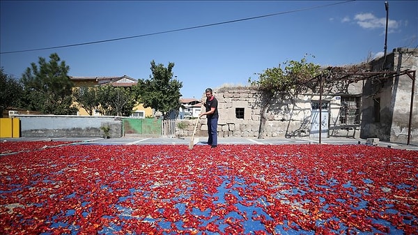 Cırgalan Biberi-Kayseri 🌶️