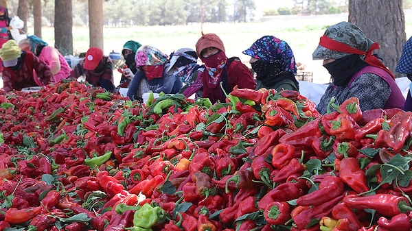 Şanlıurfa Biberi-Şanlıurfa 🌶️🌶️