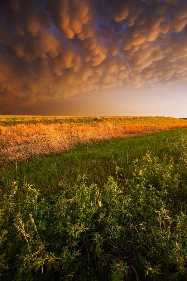 2. Mammatus bulutlarının Kansas'ta oluşturduğu muhteşem görüntü.