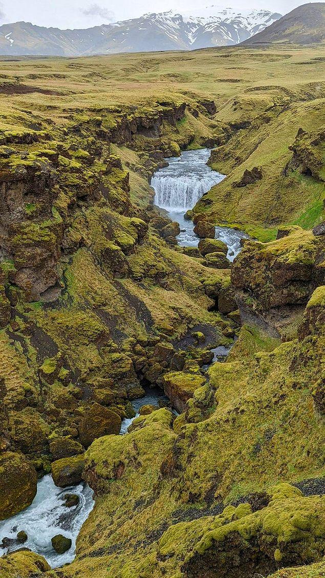 24. Steinbogafoss - Güney İzlanda: