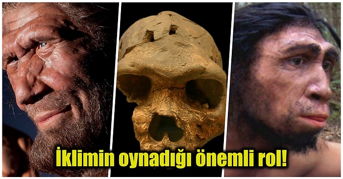 Bilim İnsanlarının Yaptığı Son Çalışmalarda İklim Değişikliğinin İnsan Evrimine Sebep Olduğu Ortaya Çıktı