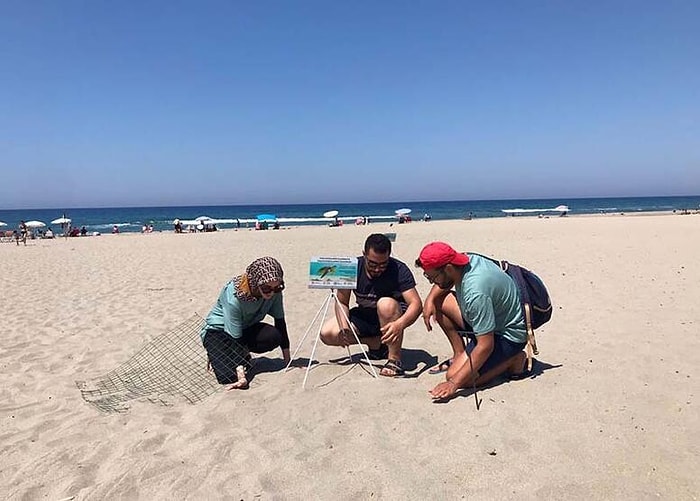 Caretta Caretta Nöbeti Başladı: Sahile Girmenin Cezası 109 Bin Lira