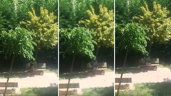 İstanbul'da Bir Kişinin Parkta Oynayan Çocuklara Bakarak Mastürbasyon Yaptığı İddia Edildi