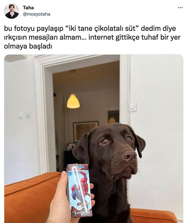 Twitter kullanıcısı "@mosyotaha" da "köpeğine çikolatalı süt" dediği için ırkçı ilan edildiğini paylaştı.