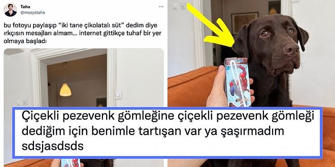 Şaka mı? Kahverengi Köpeğine Çikolatalı Süt Dediği İçin Irkçı Damgası Yiyen Twitter Kullanıcısı